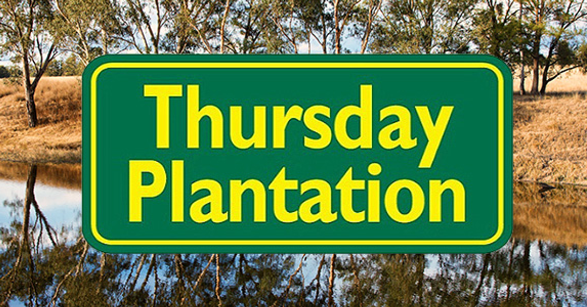 Shop Thursday Plantation Products Online at 30% Off | Natonic