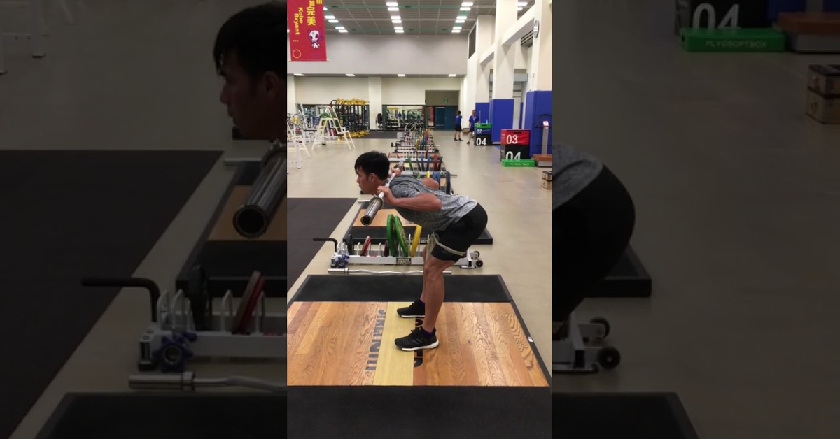髖關節鉸鏈 (Hip hinge)