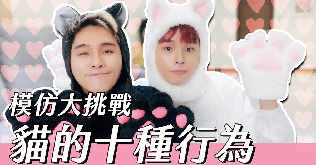 模仿大挑戰，貓的十種行為 | 這群人展榮展瑞
