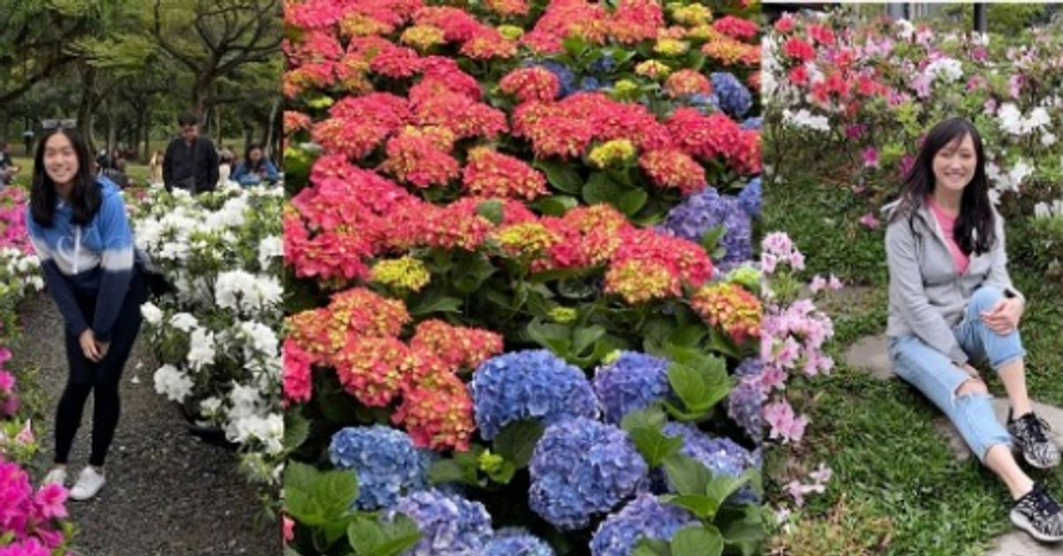 大安森林公園繡球花，杜鵑花，薰衣草，台北最方便的賞花公園，IG打卡美翻！ @ 瑪姬幸福過日子 :: 痞客邦 ::
