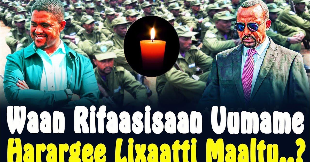 Oduu Rifaa*sisaa Harargee Lixaatti Milishootni Waan Safuu alaa RaawwatanCHRISTIAN MEDIA