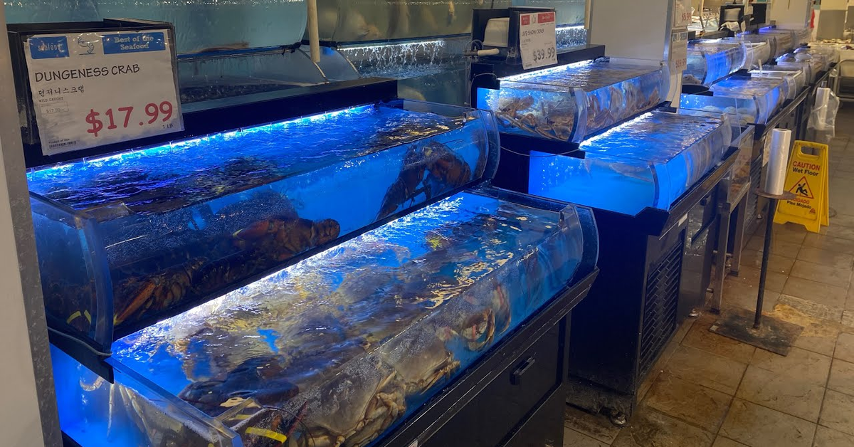 تسوق الاسماك و مأكولات المنتجات الكورية في &quot;اتش مارت&quot; | HMart Korean Fish, Food &amp; Grocery Store