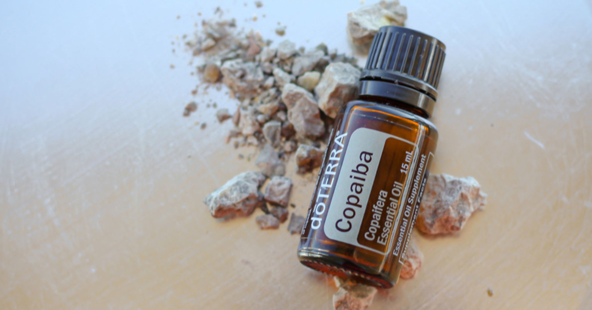 Copaiba 古巴香脂的美好效益 | doTERRA 美商多特瑞精油