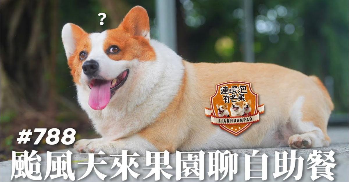 ［散步直播］788_颱風天來果園聊自助餐