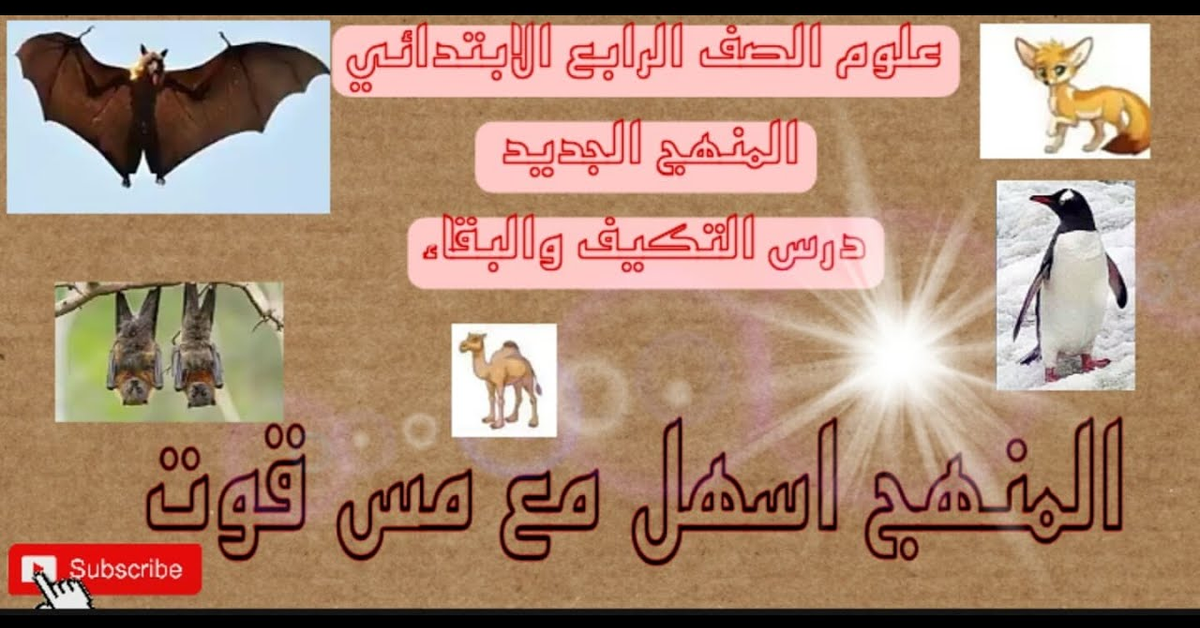 الدرس الأول علوم الصف الرابع المنهج الجديد درس التكيف والبقاء