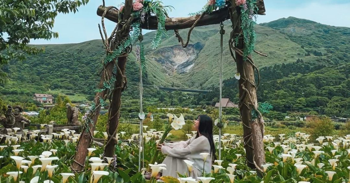 採海芋免換裝！盤點2022全台打卡乾地海芋花田，仙系網美輕鬆下田摘花去，再也不狼狽！ | Funliday 自助旅遊攻略懶人包