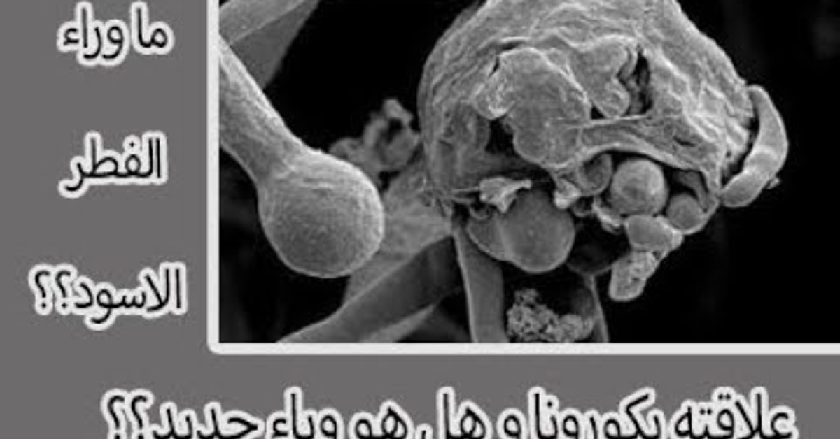 ما هو الفطر الاسود؟؟ - myocromycosis