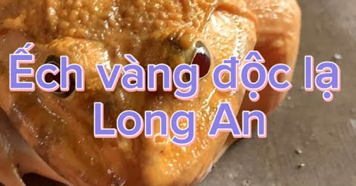 Ếch vàng độc lạ Long An