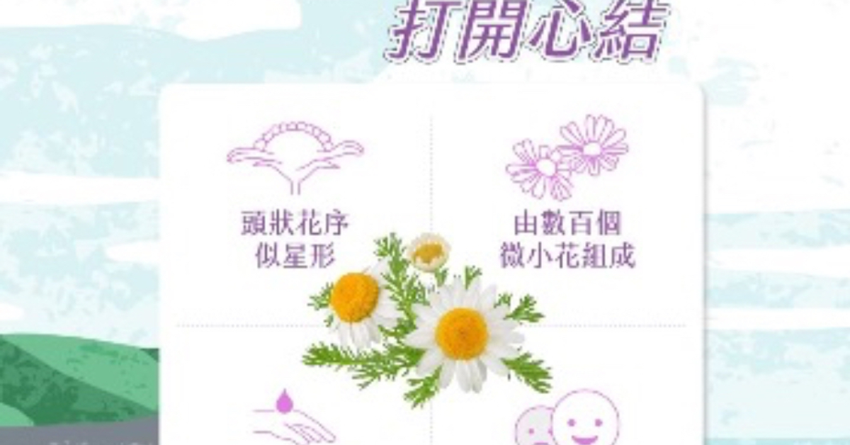 菊科植物精油,安撫壓力的精油,羅馬洋甘菊精油,藍艾菊精油,淡化細紋精油,永久花精油 | doTERRA 美商多特瑞精油