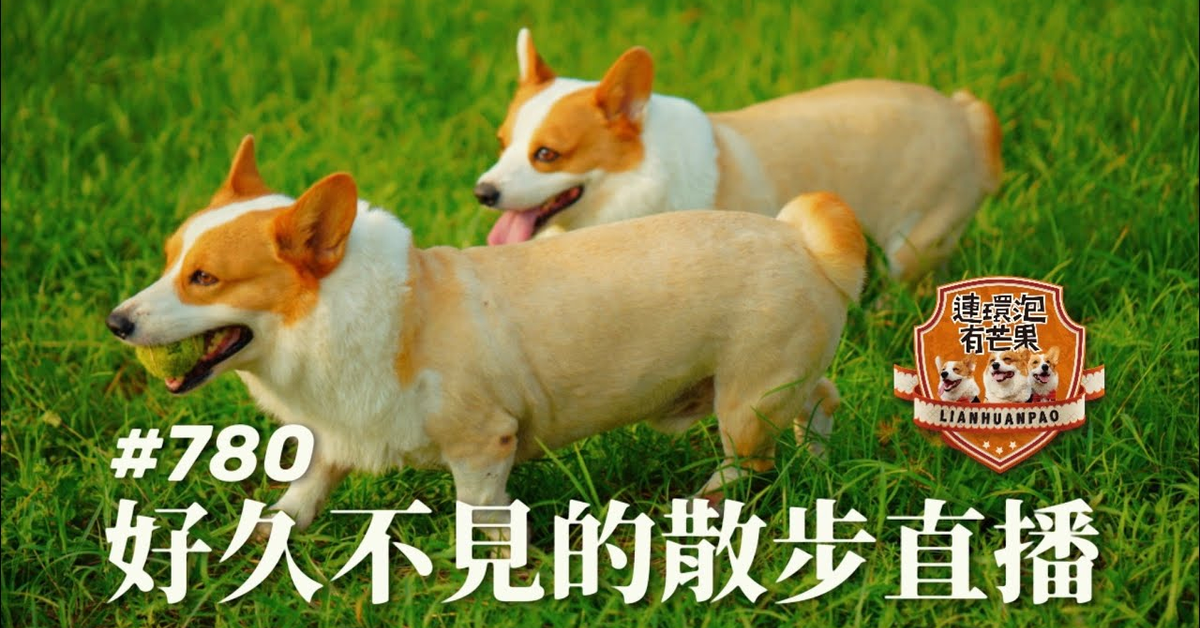 ［散步直播］780_好久不見的散步直播