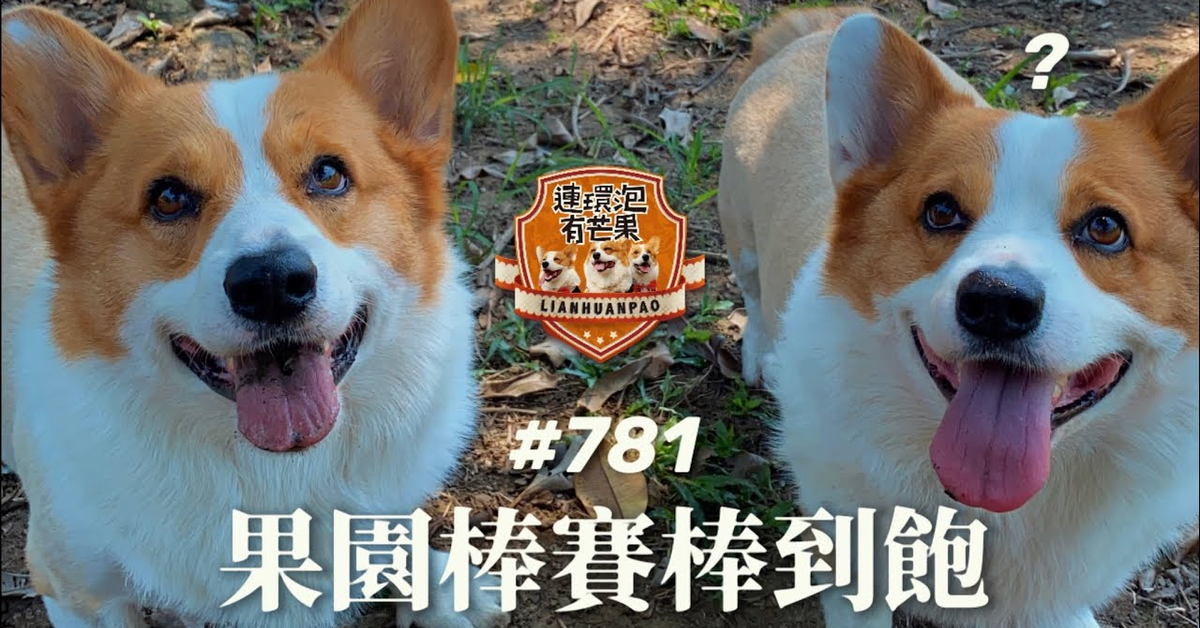 ［散步直播］781_ 果園棒賽棒到飽