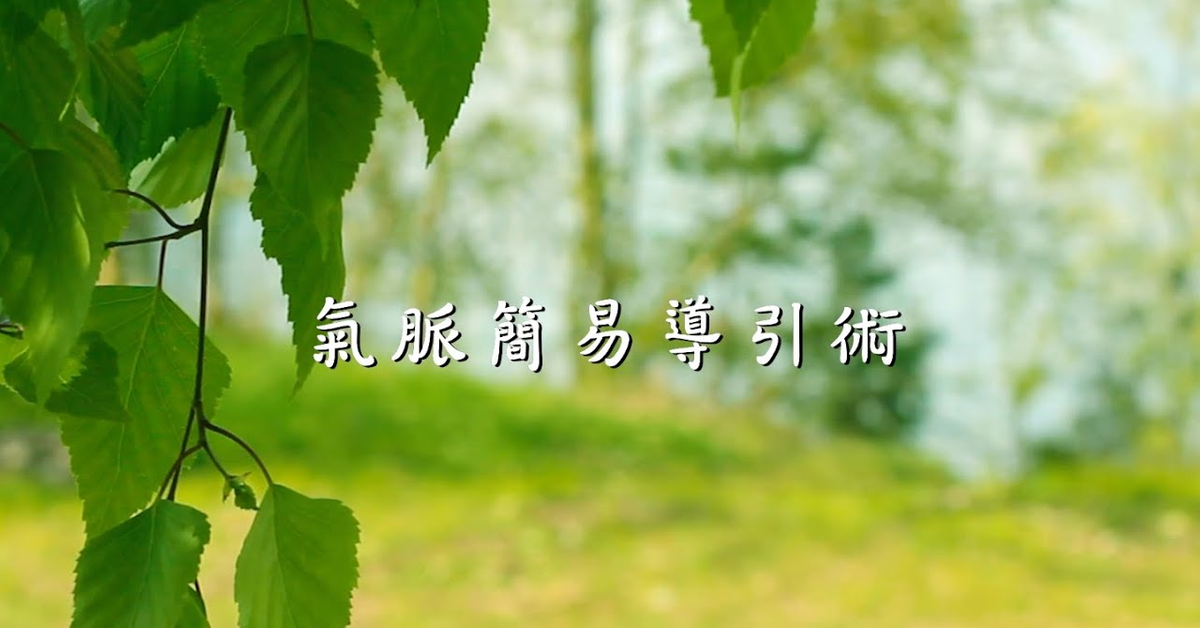 王薀老師《靜坐與養生之間》-氣脈簡易導引術