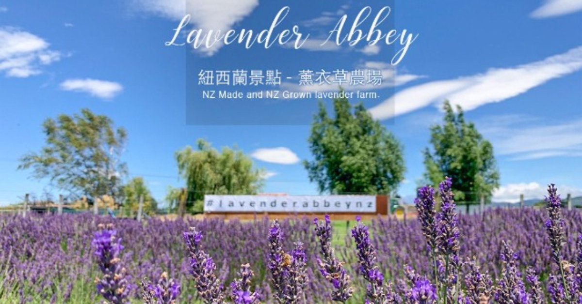 紐西蘭景點｜薰衣草農場採花體驗，浪漫的盛夏紫色回憶 - 丸玩玩