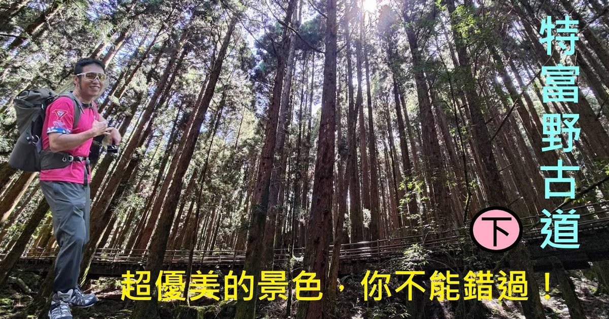 【登山】超優美的特富野古道，一定要來一次！！！此趟特富野古道，由自忠進、特富野出！(下)